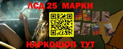 индика Можайск