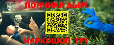 индика Можайск