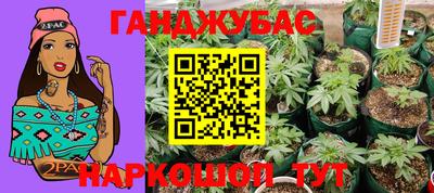 индика Можайск