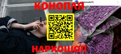 индика Можайск