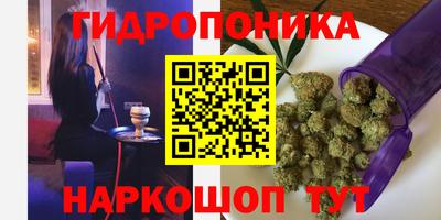 индика Можайск